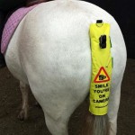 Speed Cameras fitted to horse tails
