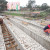 Weak shilling threatens to stall road projects, says PS …..
