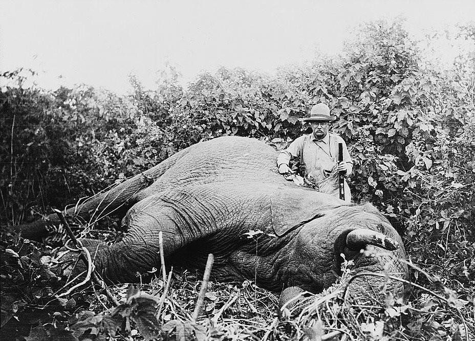 299001-theodore-roosevelt-holding-a-gun-next-to-a-dead-elephant-most-likely-i