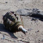 British Tourists in Kenya Escape in Failed Car Grenade Attack